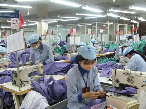 越南出口驟降80%、42900家工廠停工 訂單流失背后與中國的經濟角色